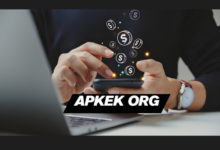 Apkek org Review: Provide the Online Earning Guide