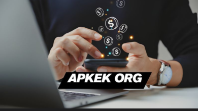 Apkek org Review: Provide the Online Earning Guide